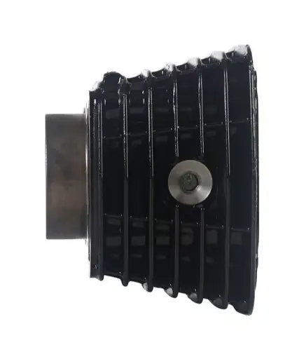 Hero Genuine Cylinder Comp-12100kzaw00s Passion_x_pro - Image 2