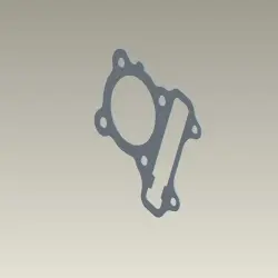 Head Packing Gasket Cylinder Head Pleasure All Models