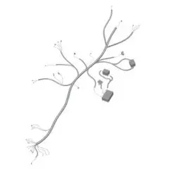 Wiring Comp Harness Wire X-treme Sports 2017