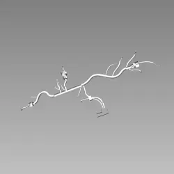 Parts on Bike