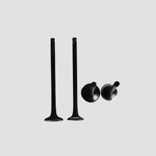 Yamaha Valve Set R15