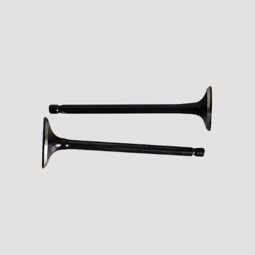 Bajaj Valve Set Platina 100 Es