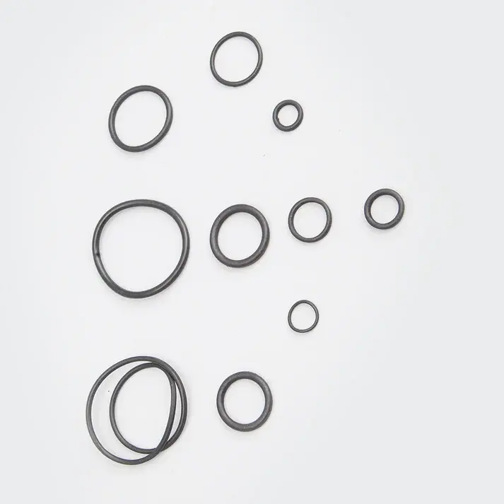 O Ring Kit Rtr160 - Image 2