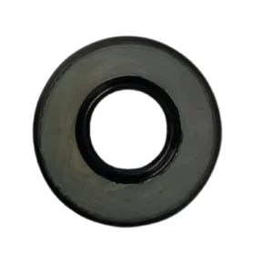 Access 125 CC New Model Clutch Oil Seal Standard