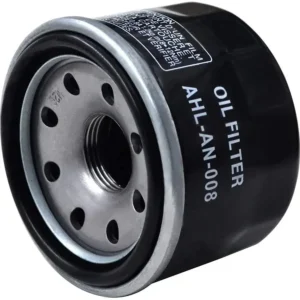 Apachi Rr 310 Bmw 310r oil filter