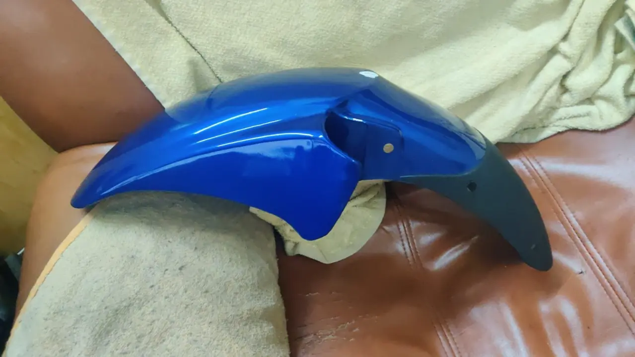 Bajaj Pulsar Blue Front Mudguard