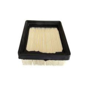 Filter Holder Comp For TVS Ronin 225