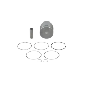 Hero Karizma R Pisston Assembly no:75 Standard