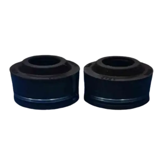 Hero Karizma ZMR Wall Oil Seal Standard