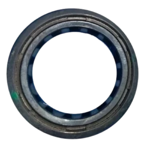 Hero Passion Pro Old Farak Oil Seal Standard