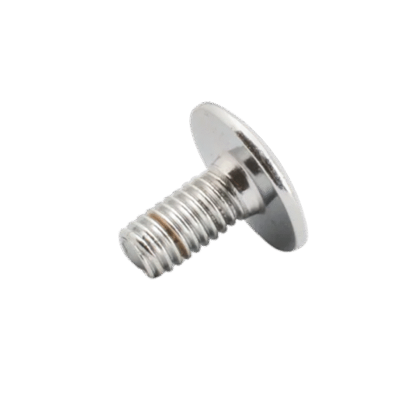 Hero Xtreme Sports Side Cover Screw Standard