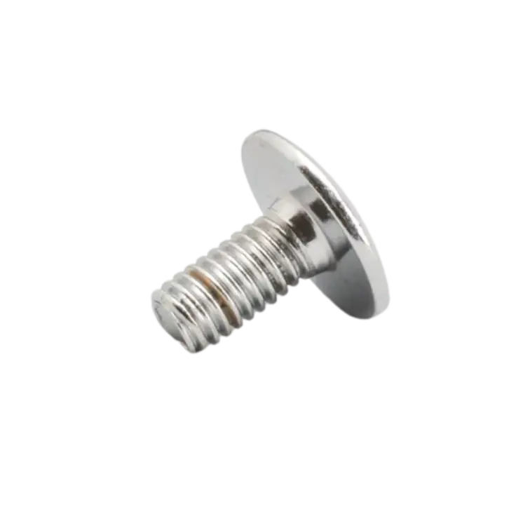 Hero Xtreme Sports Side Cover Screw Standard