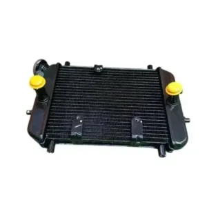 Jawa 42 Radiator Assembly
