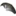 Mudguard For Passion Pls Grey & Passion Pro Grey