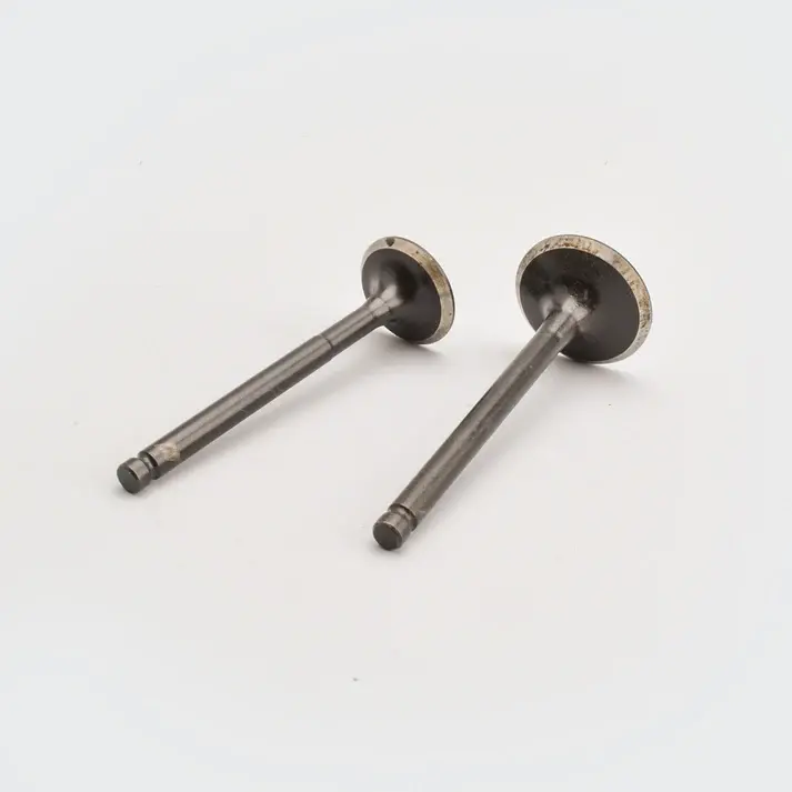 Valve Set Victor/star/star Dlx/star City - Image 2