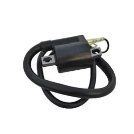 Ignition Coil Compatible For Hero Achiver