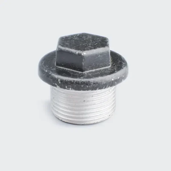 Oil Nut Discover