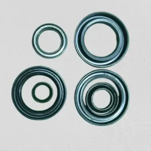 Oil seal kit for Rx 100 Rx135 Rxz