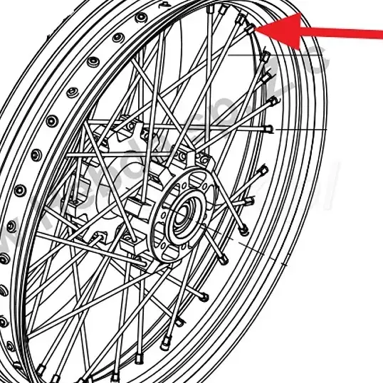 Outer spokes Benelli TRK 502X | RKD