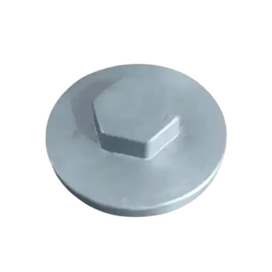Passion Old Model Tappet Nut Standard