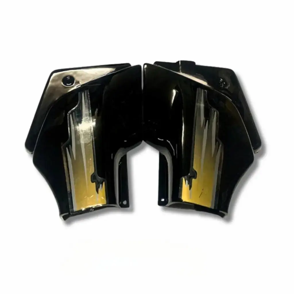 Side Panel For Hero Passion | Old Model | Black & Lden Colour