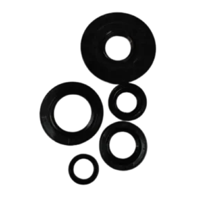 TVS Jupiter Classic Oil Seal Kit Standard