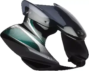 Visor For Discover 100 Dts-i Black & Green