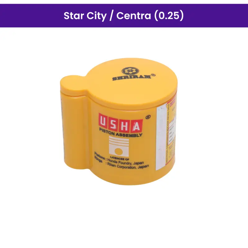 Usha Piston Kit (0.25) for Star City