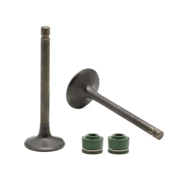 Valve Set-bajaj Vikrant