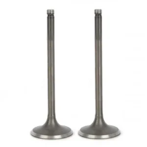 Valve Set-honda Shine/stunner