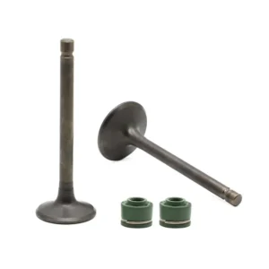 Valve Set-suzuki Gixxer