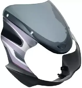 Visor For Discover 125 Cc Om Black Purple