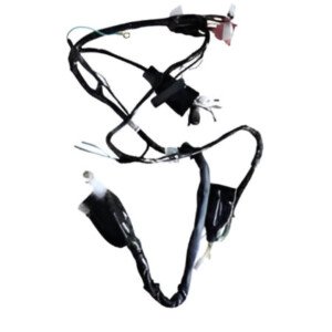 Wiring Harness EFI 3 For TVS Raider 125