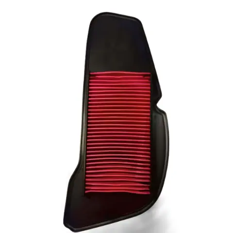 Yamaha Ray-z Air Filter Assembly